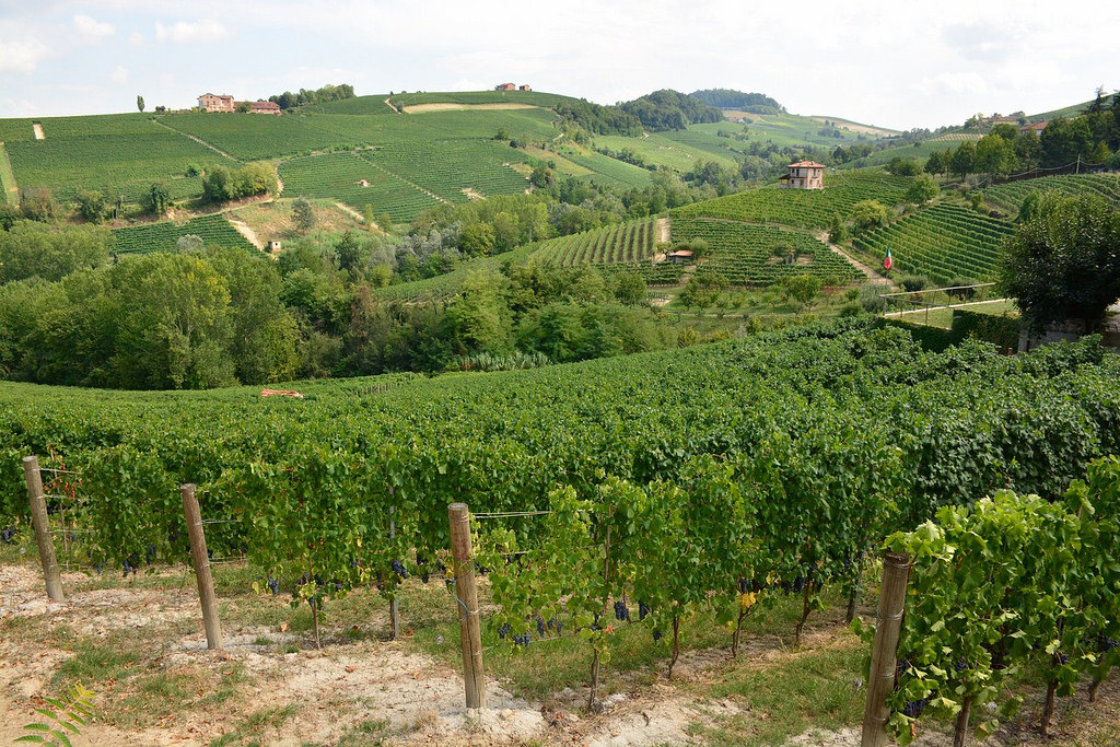 Paisaje Vitivinícola Del Piamonte: Langhe-Roero Y Monferrato - Viaje Al ...