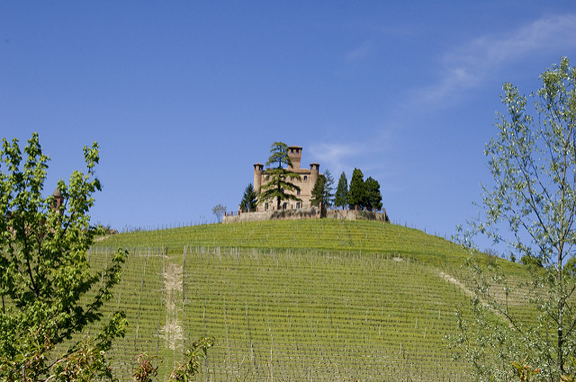 Paisaje Vitivinícola Del Piamonte: Langhe-Roero Y Monferrato - Viaje Al ...