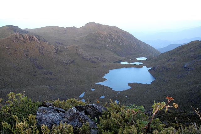 Reservas De La Cordillera De Talamancala Amistad Parque Nacional De La Amistad Viaje Al 7028